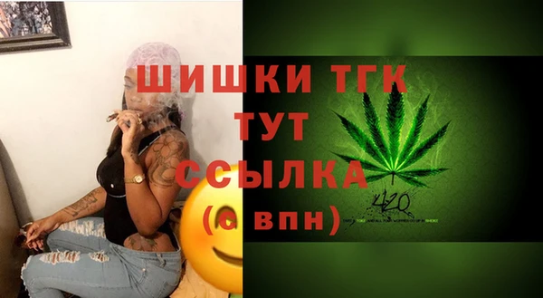 МДПВ Горняк