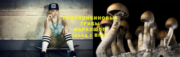 дмт Горнозаводск