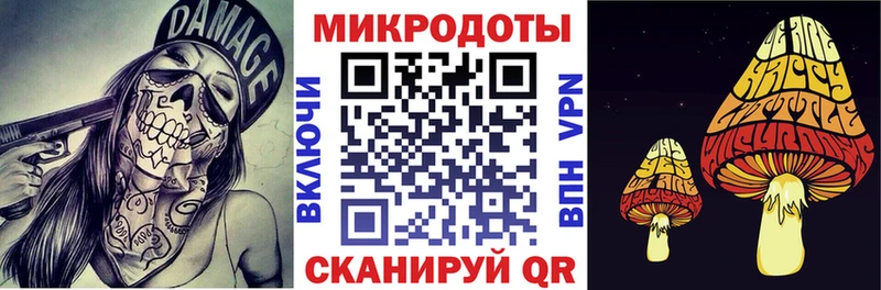 Галлюциногенные грибы MAGIC MUSHROOMS  Купить закладки  Никольск 